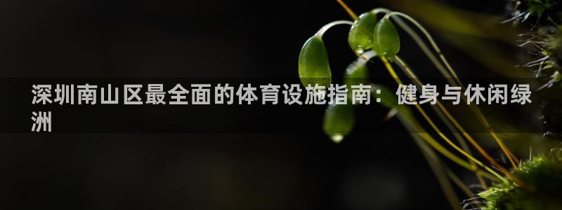 意昂体育3招商电话号码查询：深圳南山区最全面的体育设施指南：