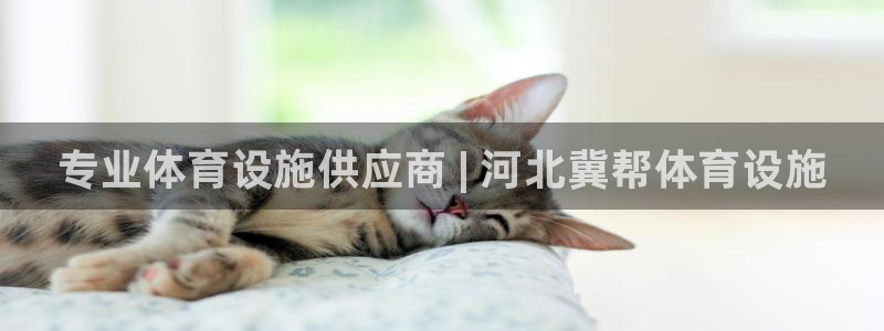 意昂3集团logo：专业体育设施供应商 | 河北冀帮体育设施