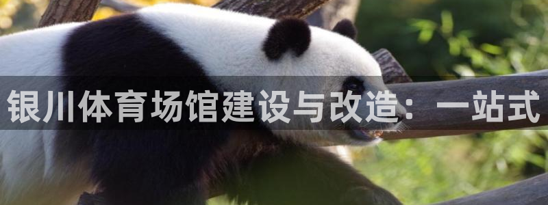 意昂体育3招商：银川体育场馆建设与改造：一站式