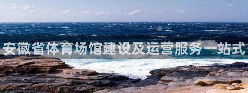 意昂3集团官网网址：安徽省体育场馆建设及运营服务一站式 